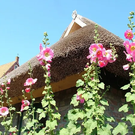 Hexenhaus Auf Ruegen *