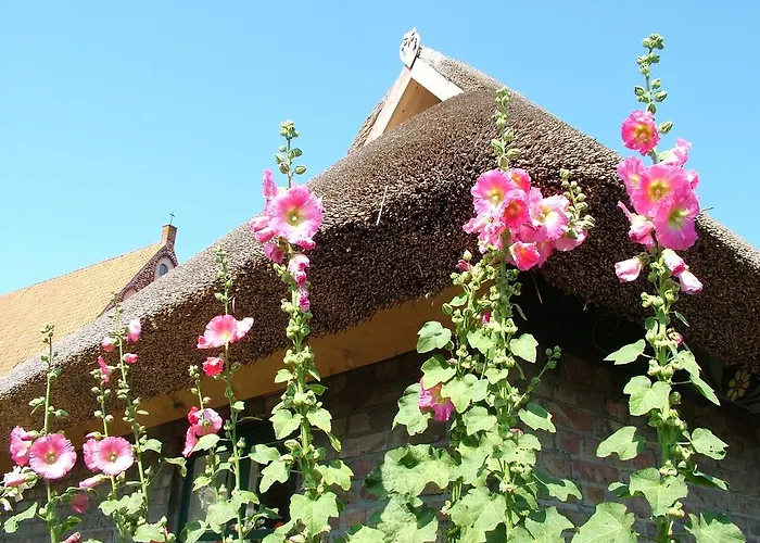 Hexenhaus Auf Ruegen *